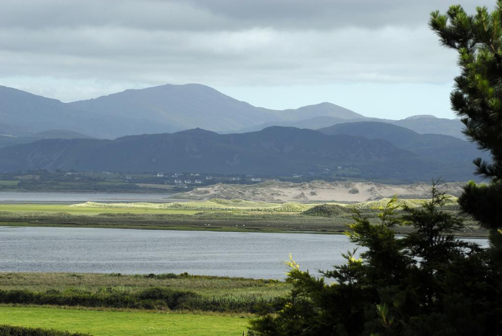 Shamrock House B&B Killarney Eksteriør billede